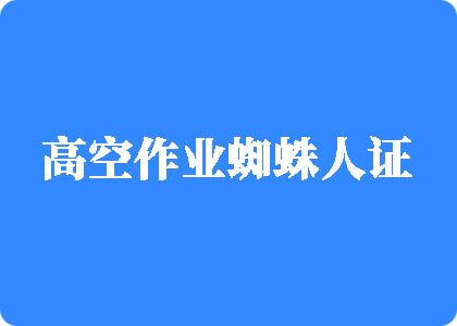 美女蹭大逼B高空作业蜘蛛人证